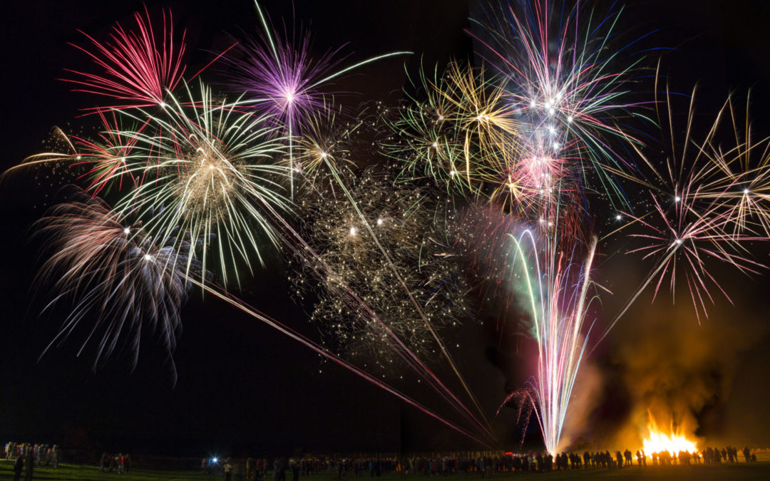 10 top tips to reduce pet stress from fireworks