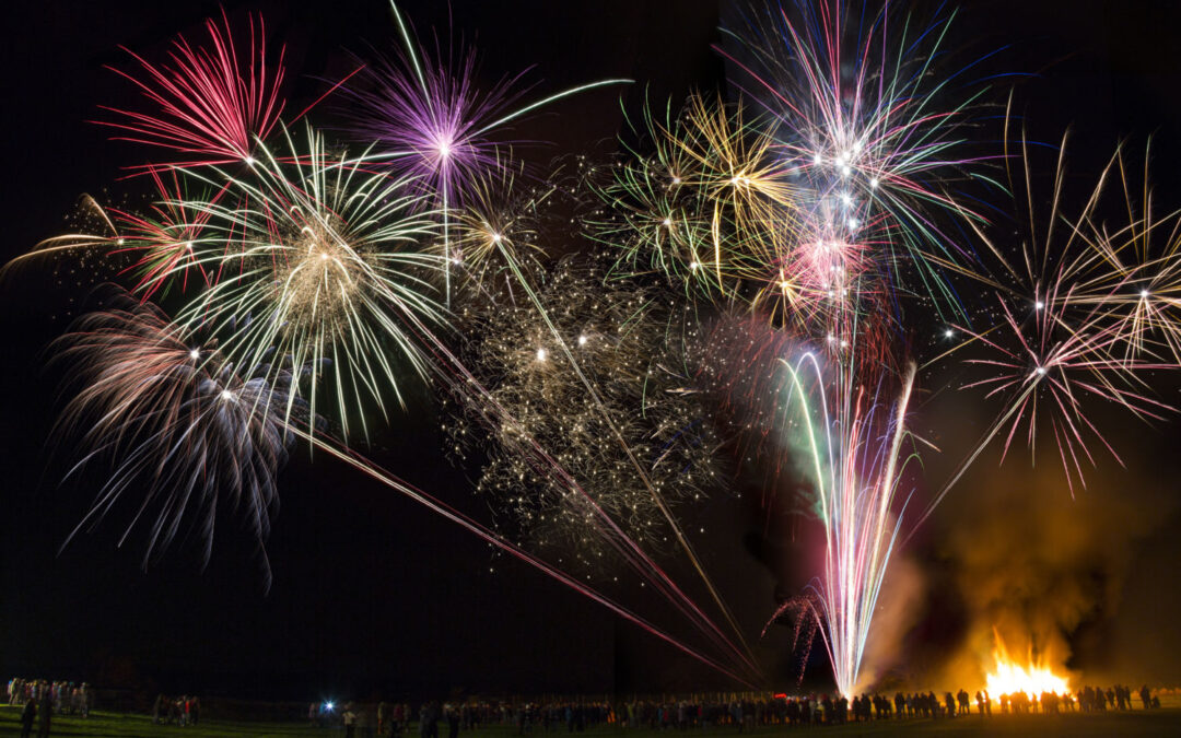 10 top tips to reduce pet stress from fireworks