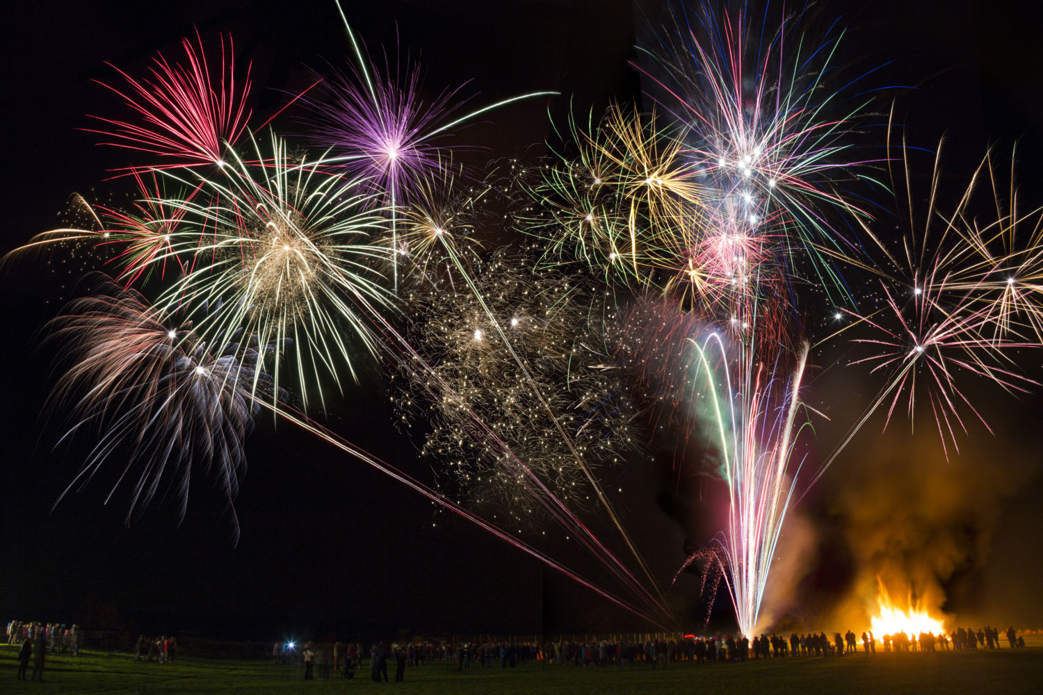 10 top tips to reduce pet stress from fireworks