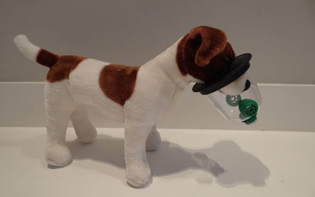 Smokey Paws – pet-sized oxygen masks saving pets in fires