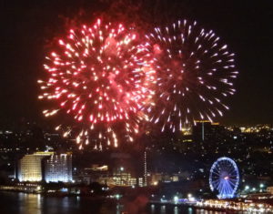 Fireworks – Reducing Stress for your Pet