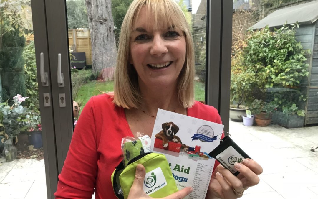 First Aid for Dogs – Christmas gift offer!