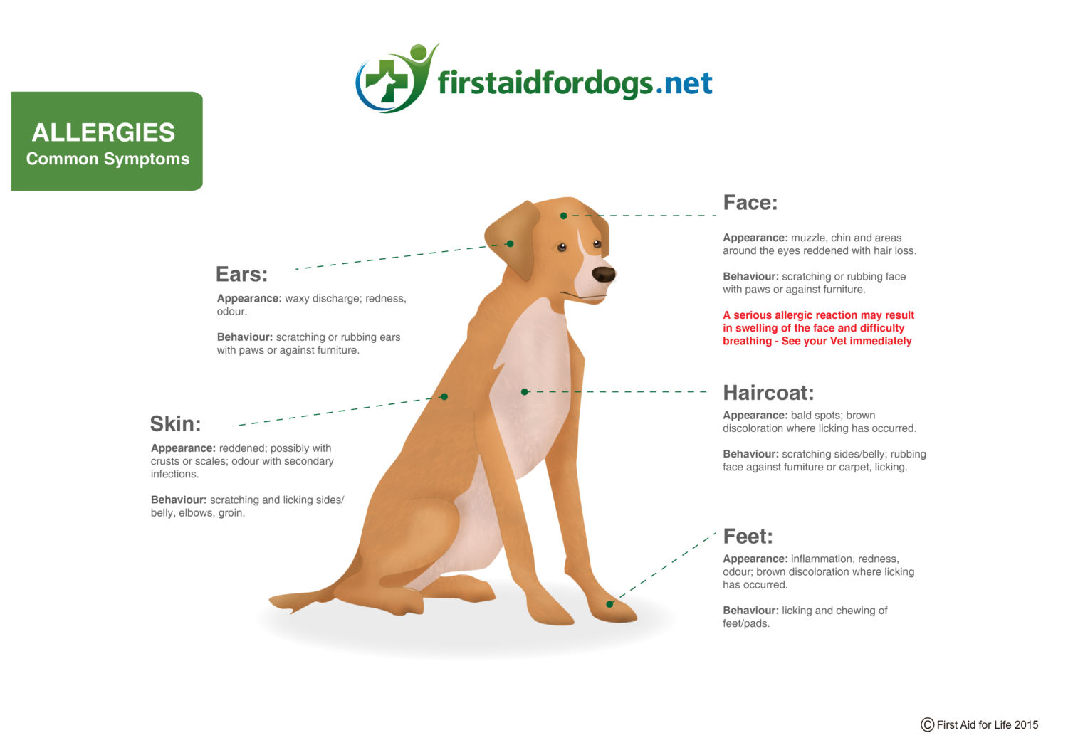 Allergies in dogs | First Aid for Pets
