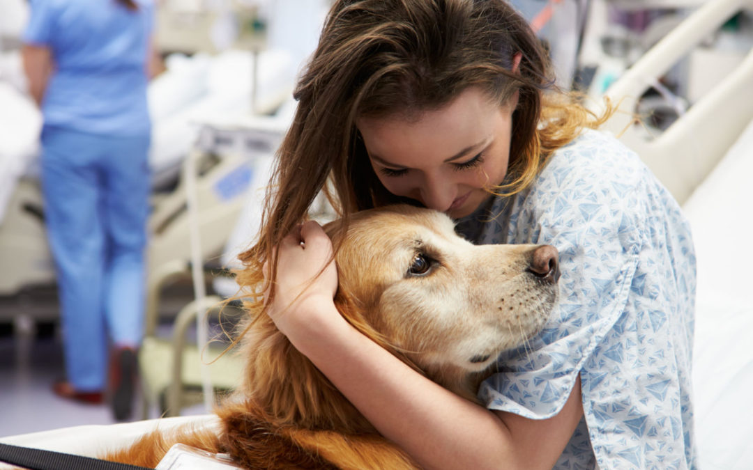 The Positive Power of Pets