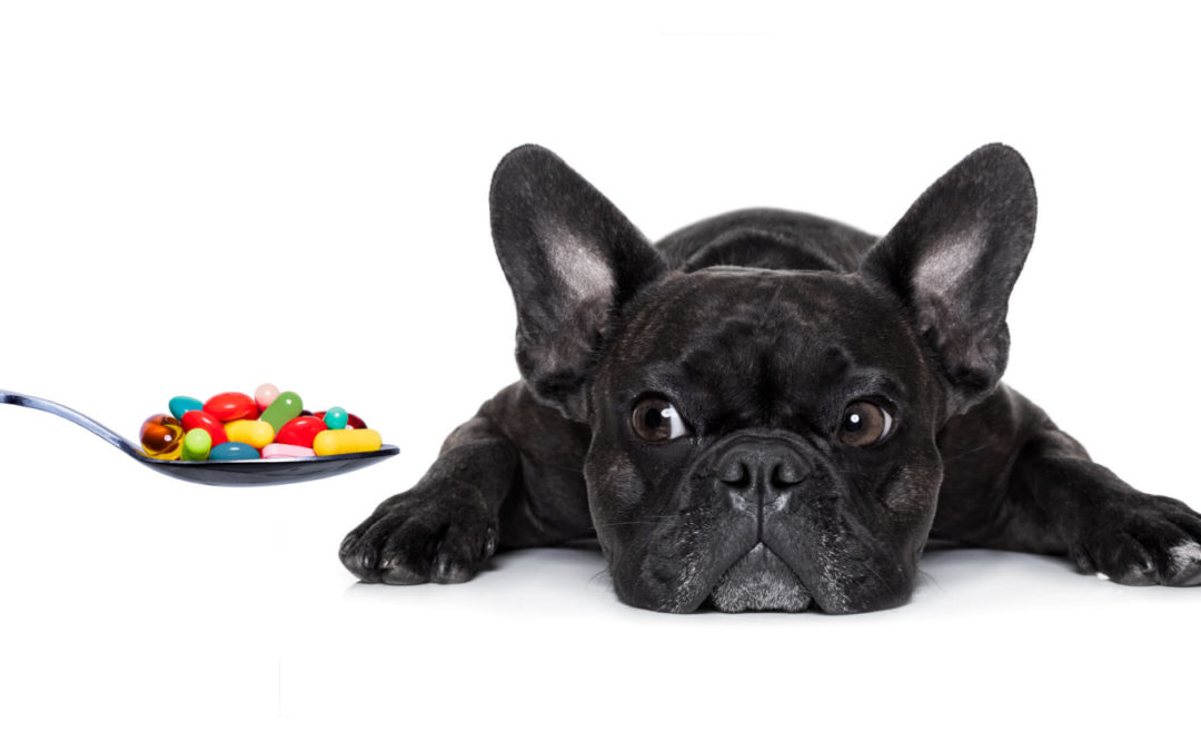 How owners can help make their pet’s medicine easier to swallow