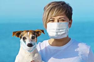 pets and self-isolation