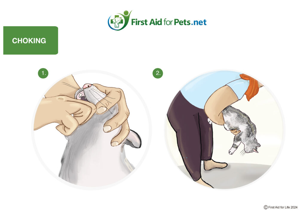 Choking cat