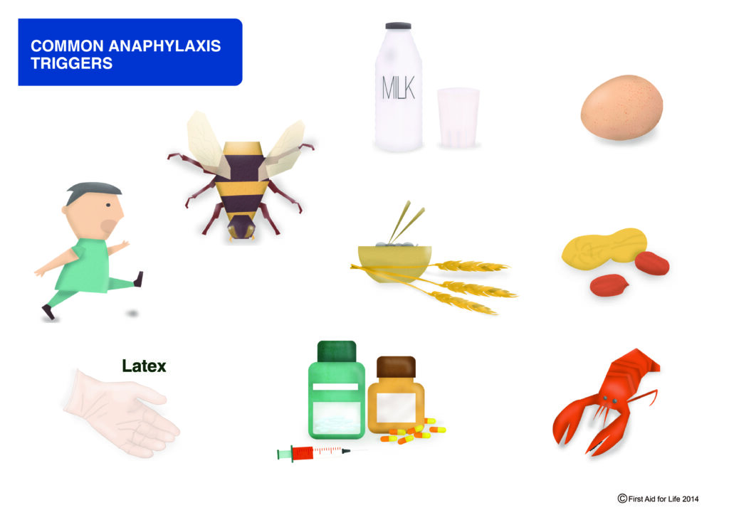 allergic reaction triggers 