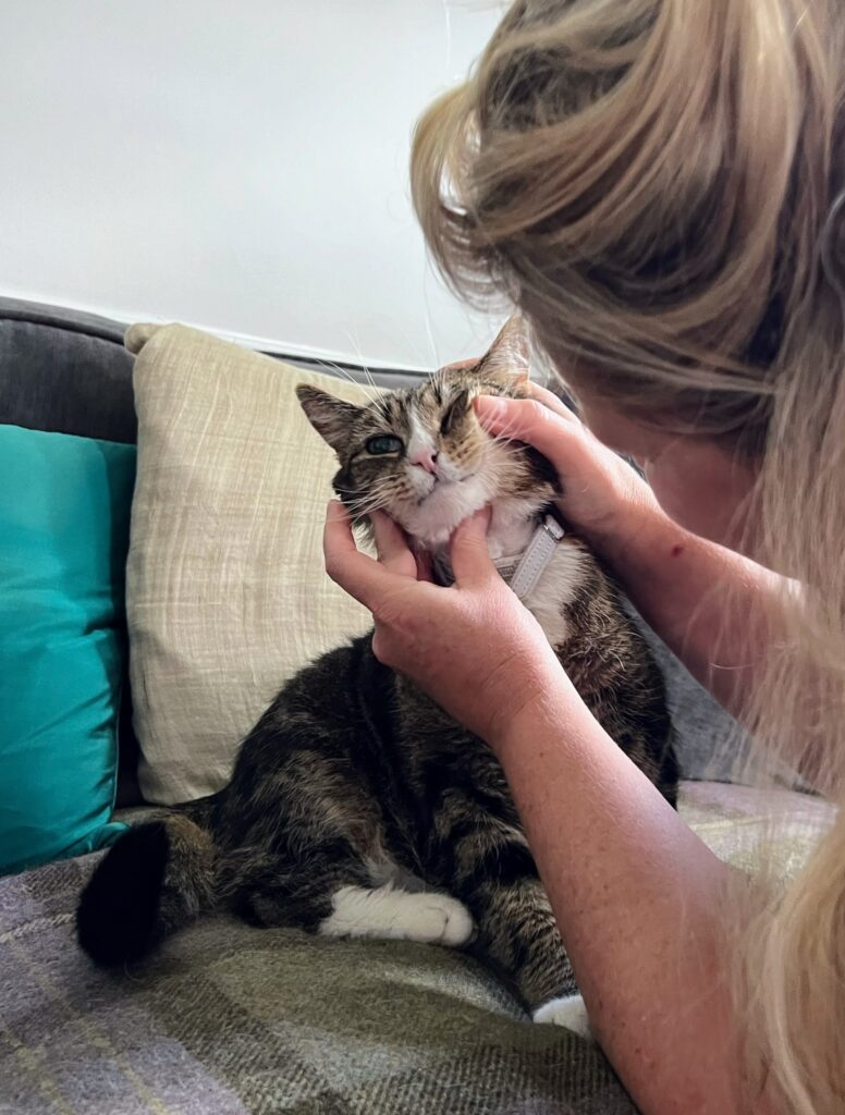 ccat gums being checked 