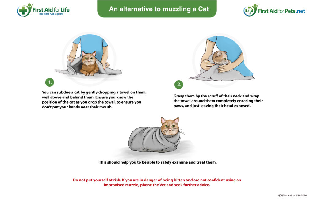 alternative to muzzling